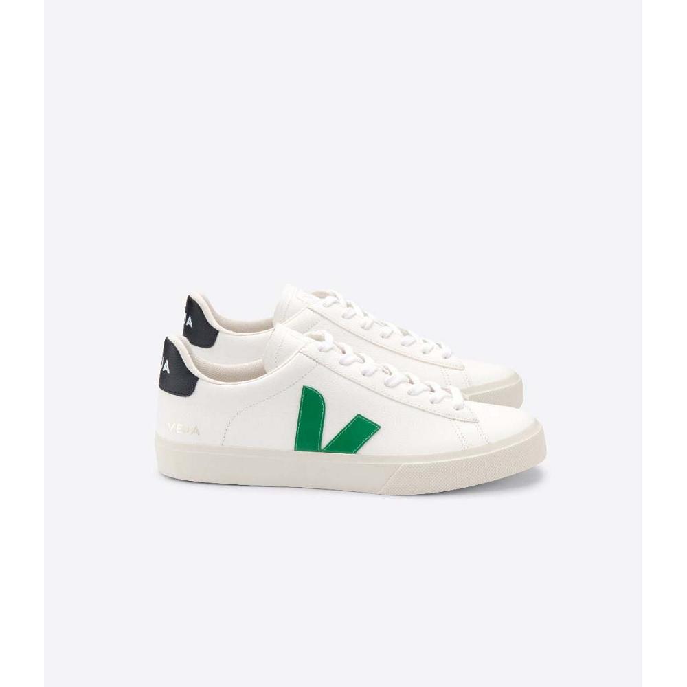 Low Tops Sneakers ανδρικα Veja CAMPO CHROMEFREE White/Black | GR 204JPQ